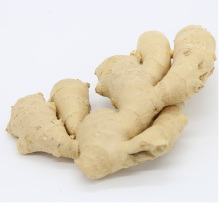 China Air Dried Ginger Wholesale Price YELLOW GINGER